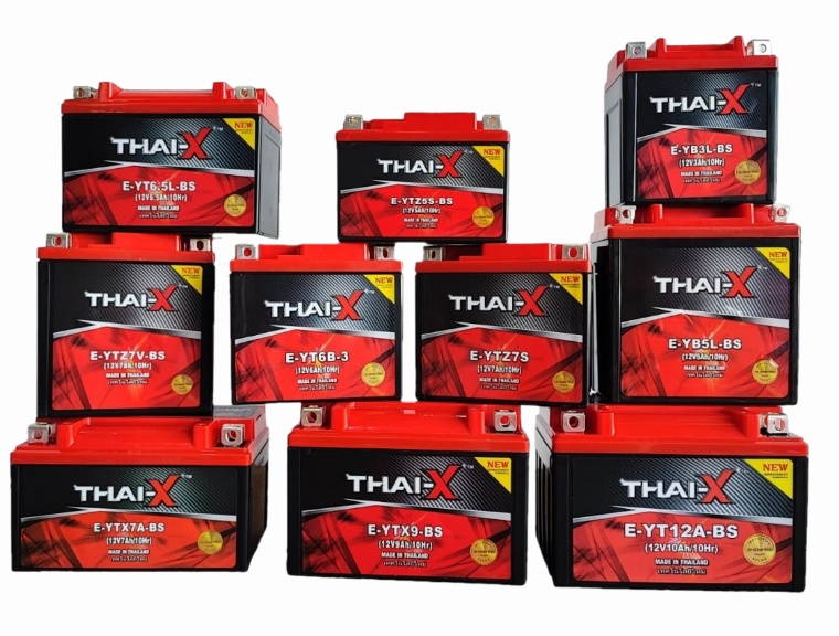 THAI-X MODEL